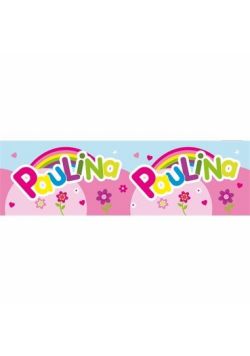 Bidon 300ml Paulina