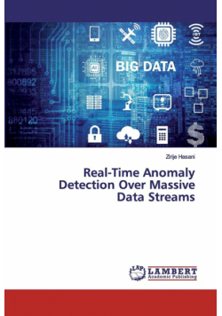 Real-Time Anomaly Detection Over Massive Data Streams