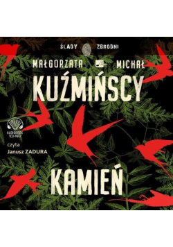 Kamień. Audiobook