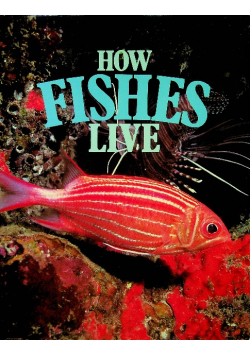 How fishes live