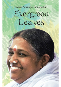 Evergreen Leaves