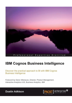 IBM Cognos 10 Business Intelligence