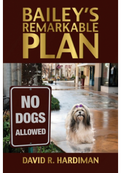 Bailey's Remarkable Plan