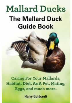 Mallard Ducks, The Mallard Duck Complete Guide Book, Caring For Your Mallards, Habitat, Diet