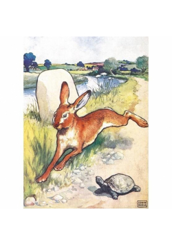 Karnet B6 z kopertą The Hare and the Tortoise
