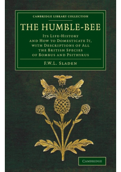 The Humble-Bee