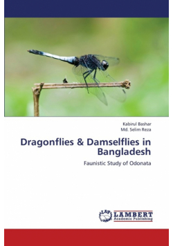 Dragonflies & Damselflies in Bangladesh