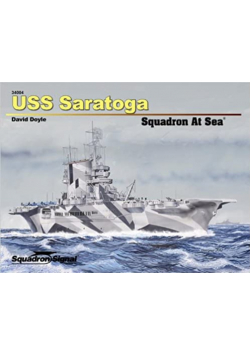 USS Saratoga Squadron At Sea