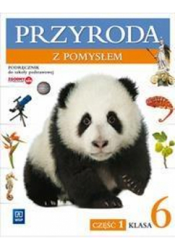 Przyroda SP  6/1 z pomysłem Podr. WSiP