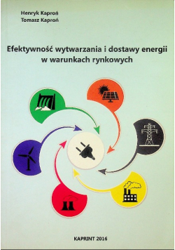 Efektywność wytwarzania i dostawy energii w warunkach rynkowych