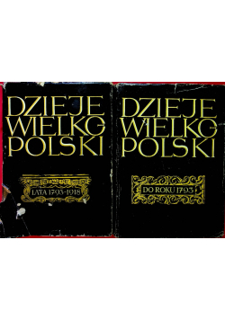 Dzieje wielkopolski 2 tomy