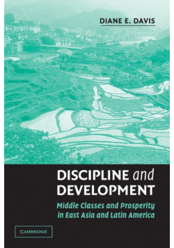Discipline and Development