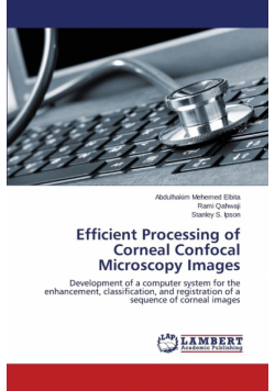 Efficient Processing of Corneal Confocal Microscopy Images