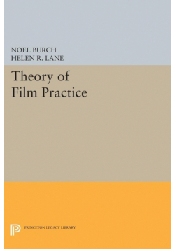 Theory of Film Practice