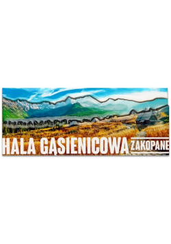 Magnes I love Poland Hala Gąsienicowa