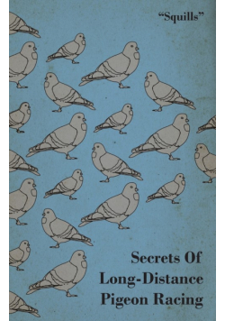 Secrets of Long-Distance Pigeon Racing