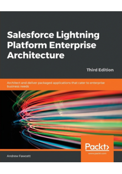 Salesforce Lightning Platform Enterprise Architecture