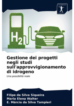 Gestione dei progetti negli studi sull'approvvigionamento di idrogeno