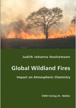 Global Wildland Fires