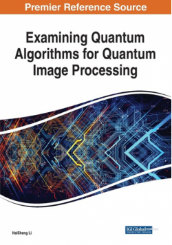 Examining Quantum Algorithms for Quantum Image Processing