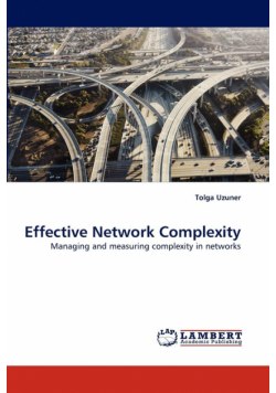 Effective Network Complexity