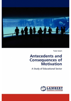 Antecedents and Consequences of Motivation
