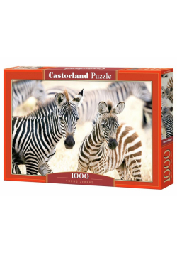 Puzzle 1000 Young Zebras CASTOR