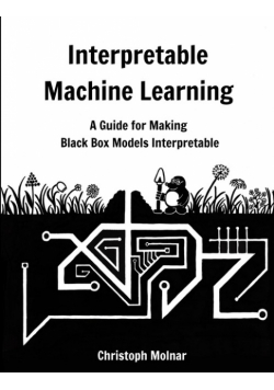 Interpretable Machine Learning