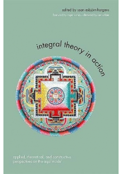 Integral Theory in Action