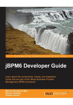 Jbpm 6 Developer Guide