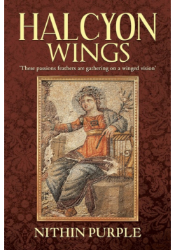 Halcyon Wings