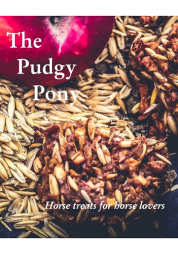 The Pudgy Pony