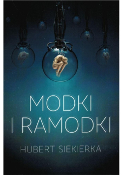 Modki i ramodki