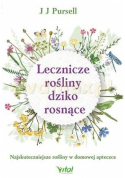 Lecznicze rośliny dziko rosnące