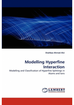 Modelling Hyperfine Interaction