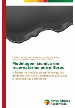 Modelagem sísmica em reservatórios petrolíferos