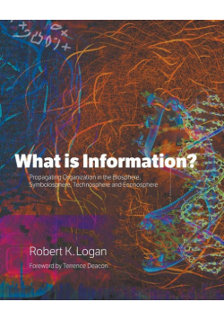 What is Information?