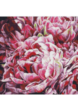 Diamentowa Mozaika - Szaleństwo kolorów 40x40cm