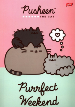 Teczka z gumką A4 Pusheen 10 sztuk