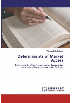 Determinants of Market Access