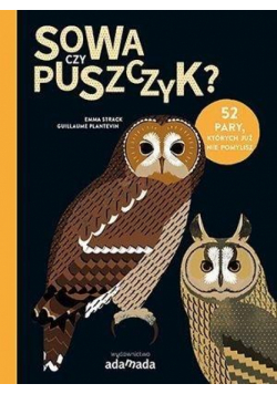 Sowa czy puszczyk