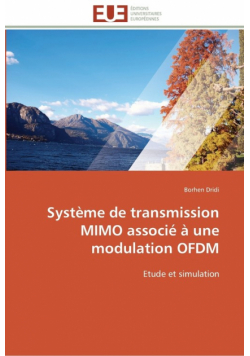 Système de transmission mimo associé à une modulation ofdm