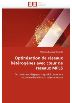 Optimisation de réseaux hétérogènes avec c ur de réseaux mpls