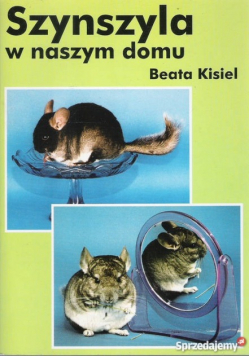 Szynszyla w naszym domu