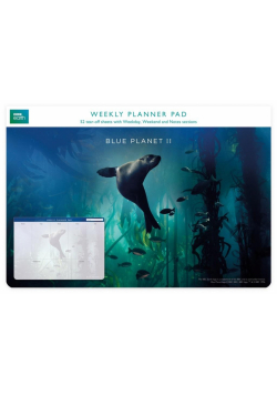 Planer tygodniowy Galapagos Sea Lion