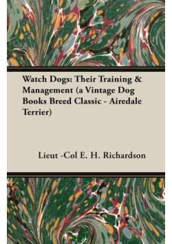 Watch Dogs