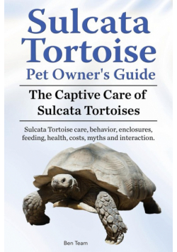 Sulcata Tortoise Pet Owners Guide. The Captive Care of Sulcata Tortoises. Sulcata Tortoise care, behavior, enclosures, feeding, health, costs, myths and interaction.