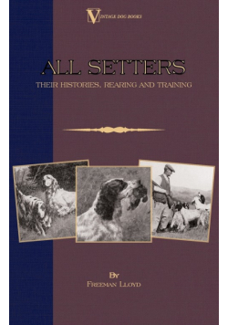 All Setters