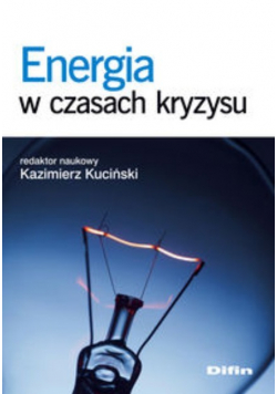 Energia w czasach kryzysu