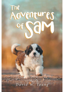 The Adventures of Sam